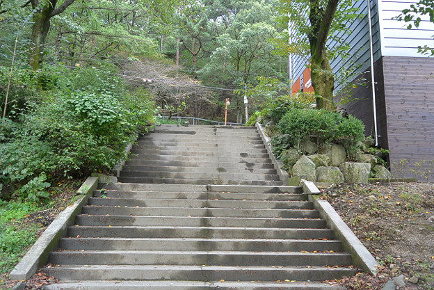 resize5580 写真: resize5580