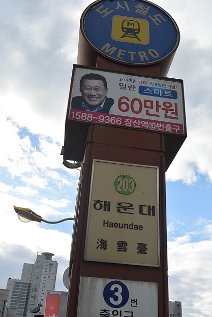 resize5626 写真: resize5626