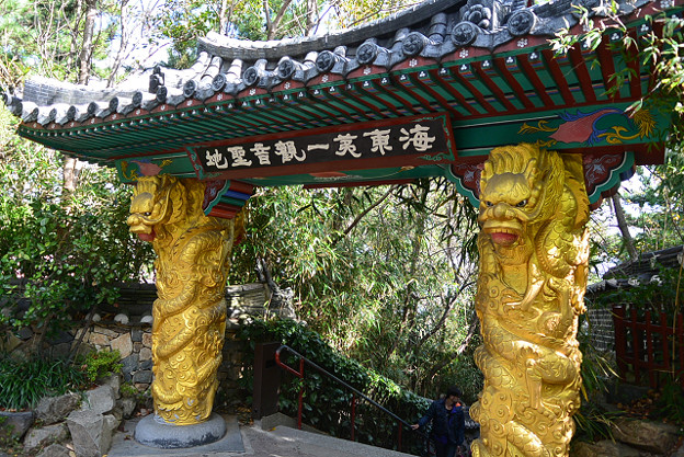 resize5672 写真: resize5672