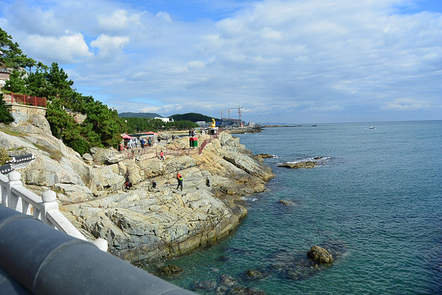 resize5693 写真: resize5693