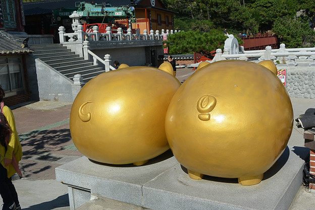 resize5711 写真: resize5711