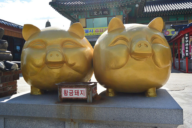 resize5712 写真: resize5712