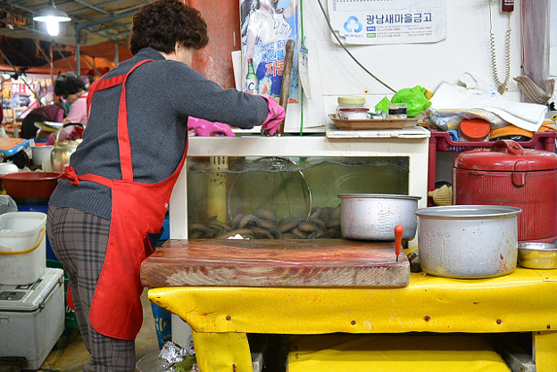 resize6064 写真: resize6064