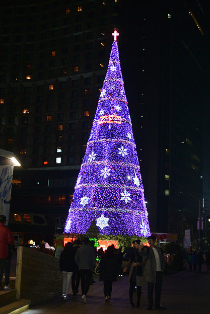 resize7569 写真: resize7569