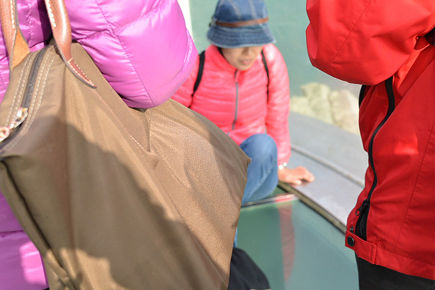 resize6299 写真: resize6299