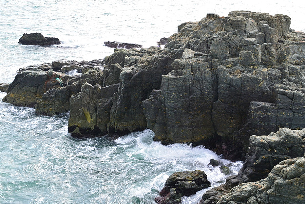 resize6310 写真: resize6310
