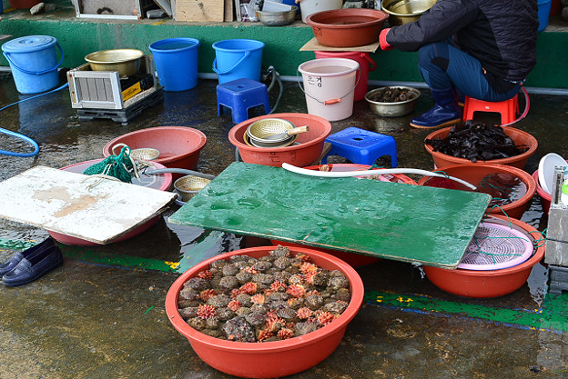 resize6322 写真: resize6322