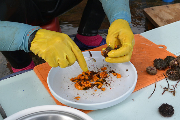 resize6334 写真: resize6334