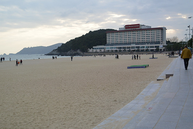 resize6437 写真: resize6437