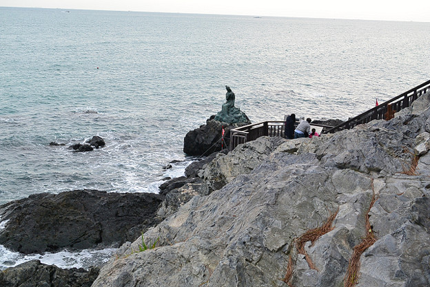 resize6446 写真: resize6446