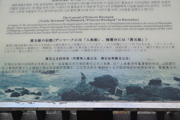 resize6449 写真: resize6449