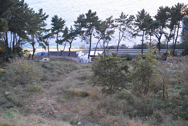 resize6463 写真: resize6463