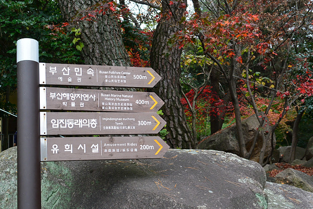 resize6578 写真: resize6578