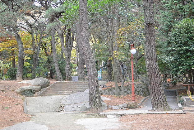 resize6583 写真: resize6583
