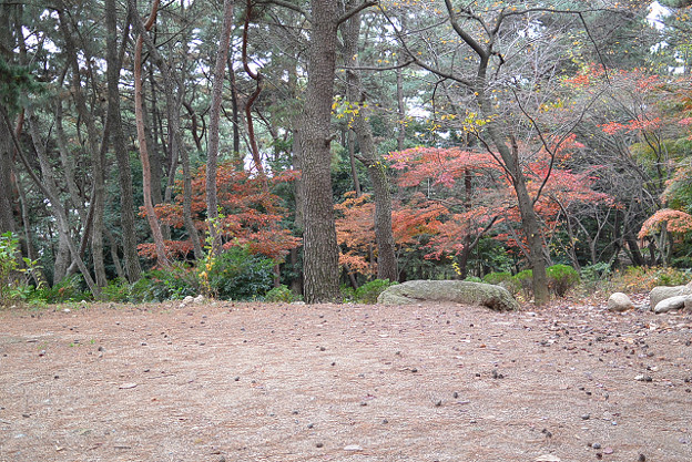 resize6584 写真: resize6584
