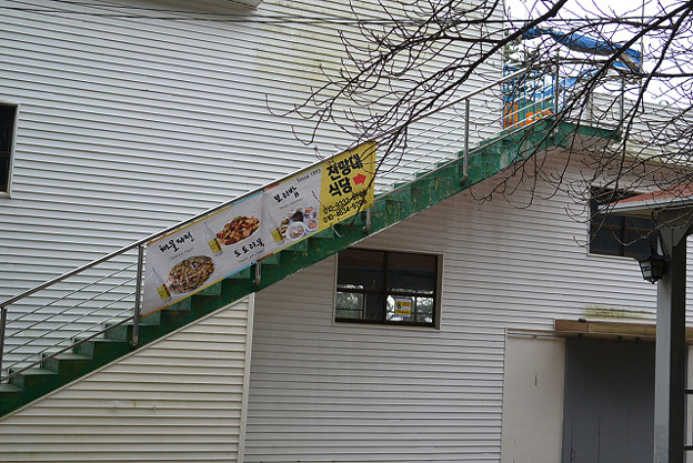 resize6605 写真: resize6605