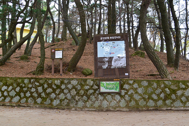 resize6606 写真: resize6606