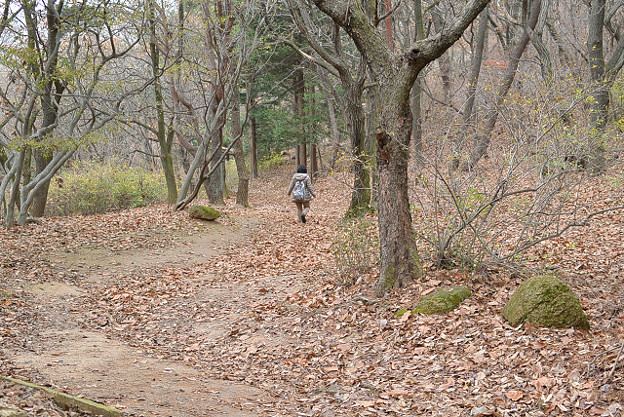 resize6613 写真: resize6613