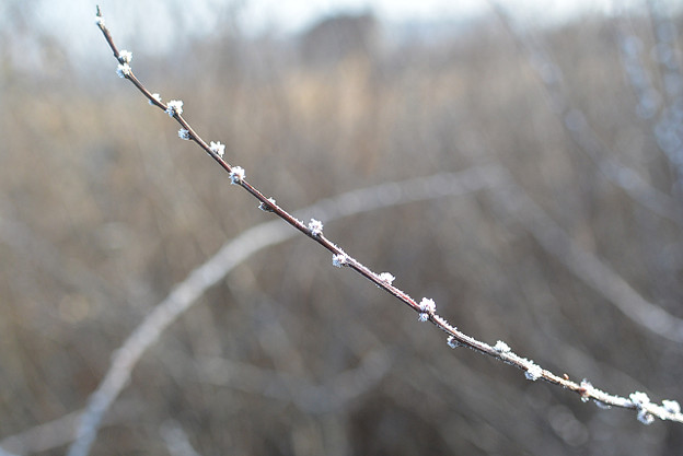 resize6756 写真: resize6756