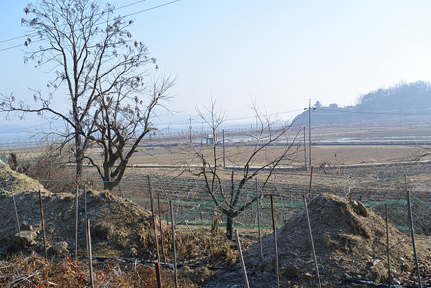 resize6788 写真: resize6788
