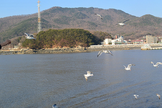 resize6870 写真: resize6870