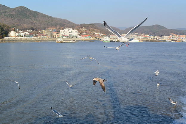 resize6873 写真: resize6873