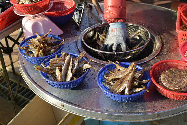 resize7233 写真: resize7233