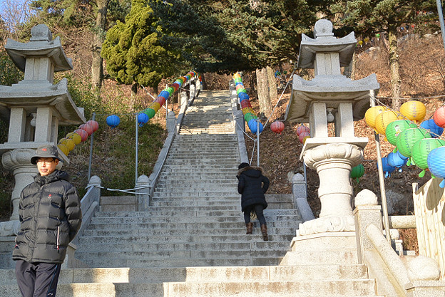 resize7255 写真: resize7255