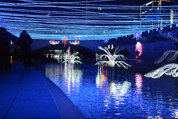 resize7003 写真: resize7003