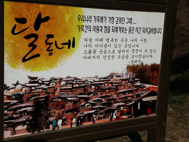 resize7858 写真: resize7858