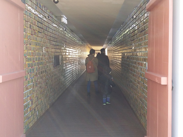 resize7947 写真: resize7947