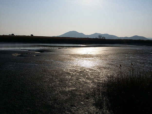 resize7986 写真: resize7986
