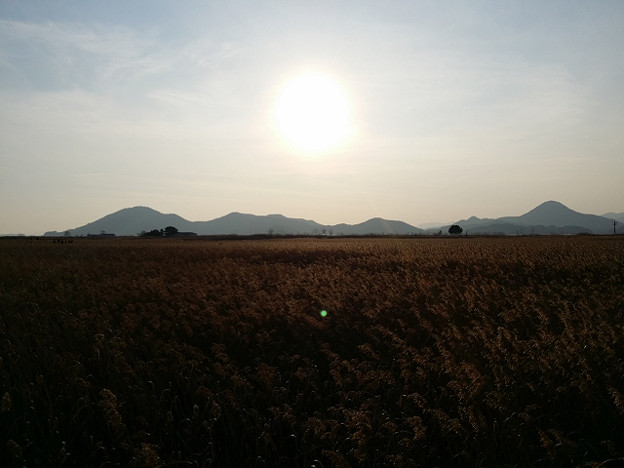 resize8008 写真: resize8008