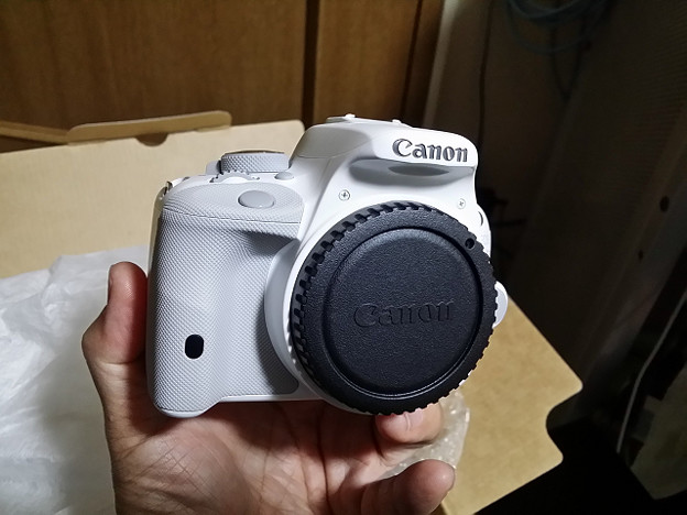 resize8577 写真: resize8577