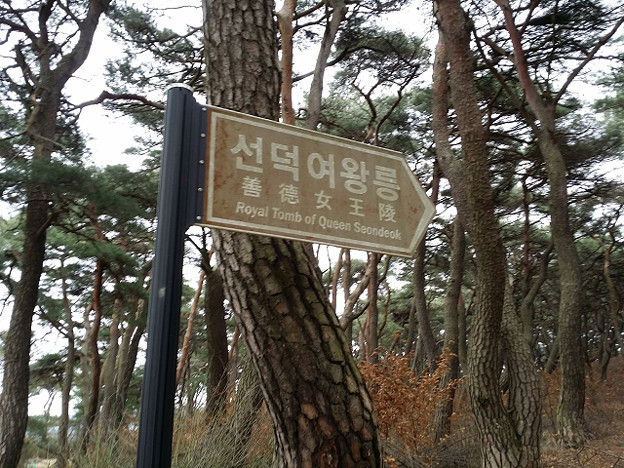 resize8723 写真: resize8723