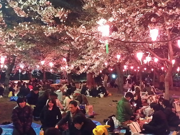 resize8877 写真: resize8877