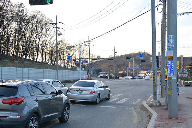 resize8513 写真: resize8513