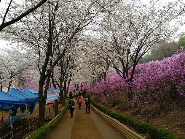 resize9003 写真: resize9003