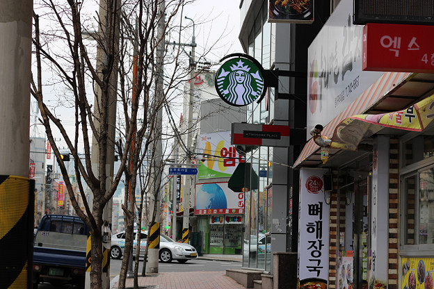 resize9239 写真: resize9239
