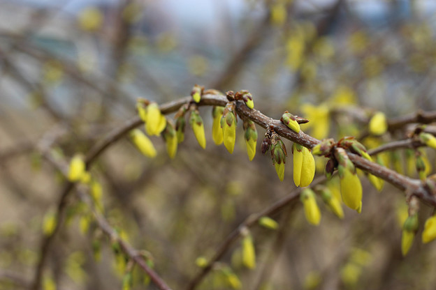 resize9264 写真: resize9264