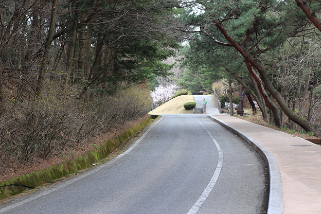 resize9271 写真: resize9271