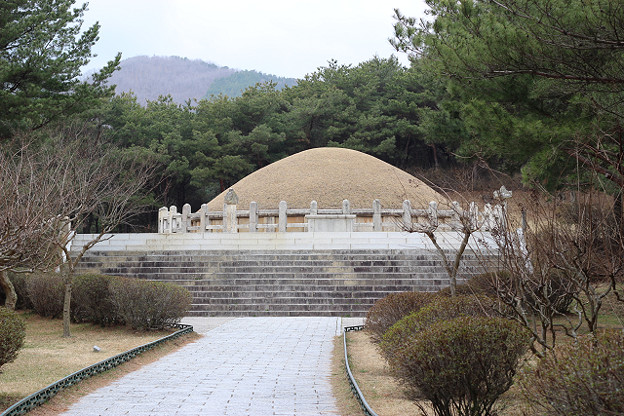 resize9285 写真: resize9285