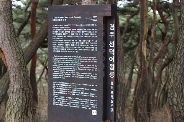 resize9334 写真: resize9334