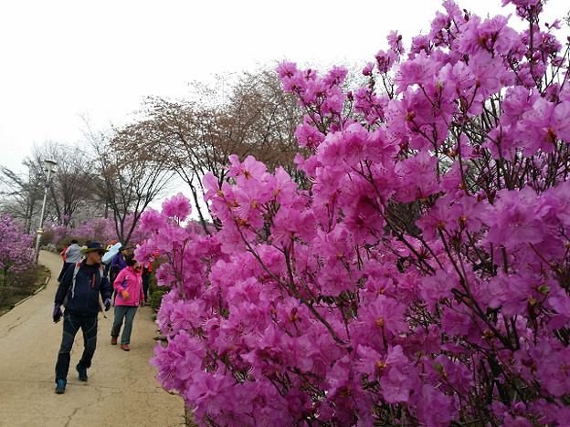 resize9747 写真: resize9747