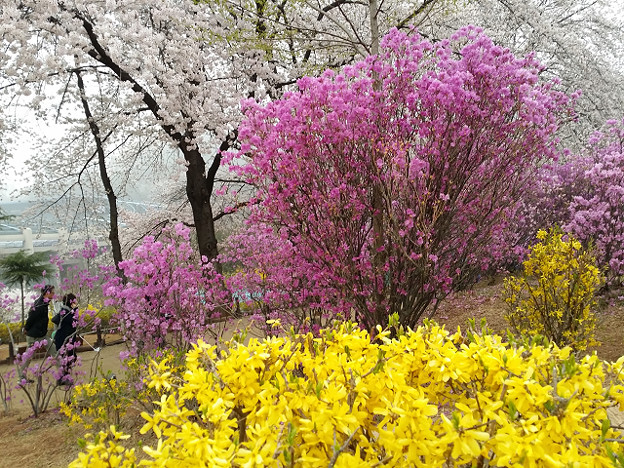 resize9749 写真: resize9749