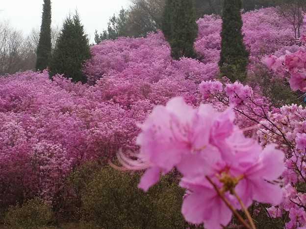 resize9753 写真: resize9753