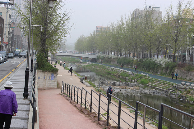 resize9637 写真: resize9637