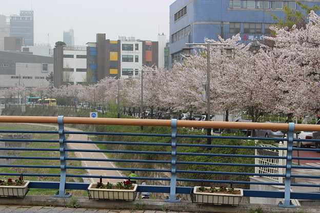 resize9638 写真: resize9638