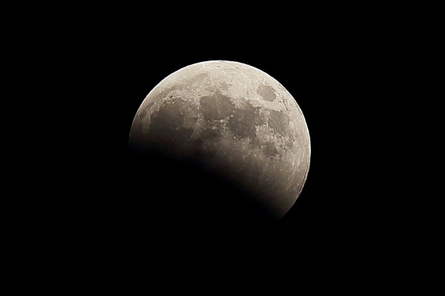 写真: IMG_9531js1280 299k