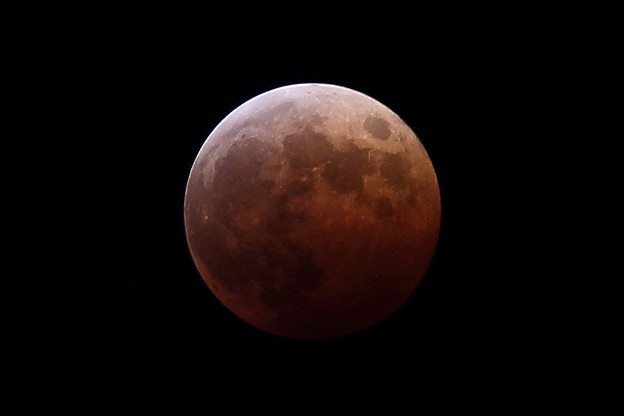 写真: IMG_9564js1280 299k